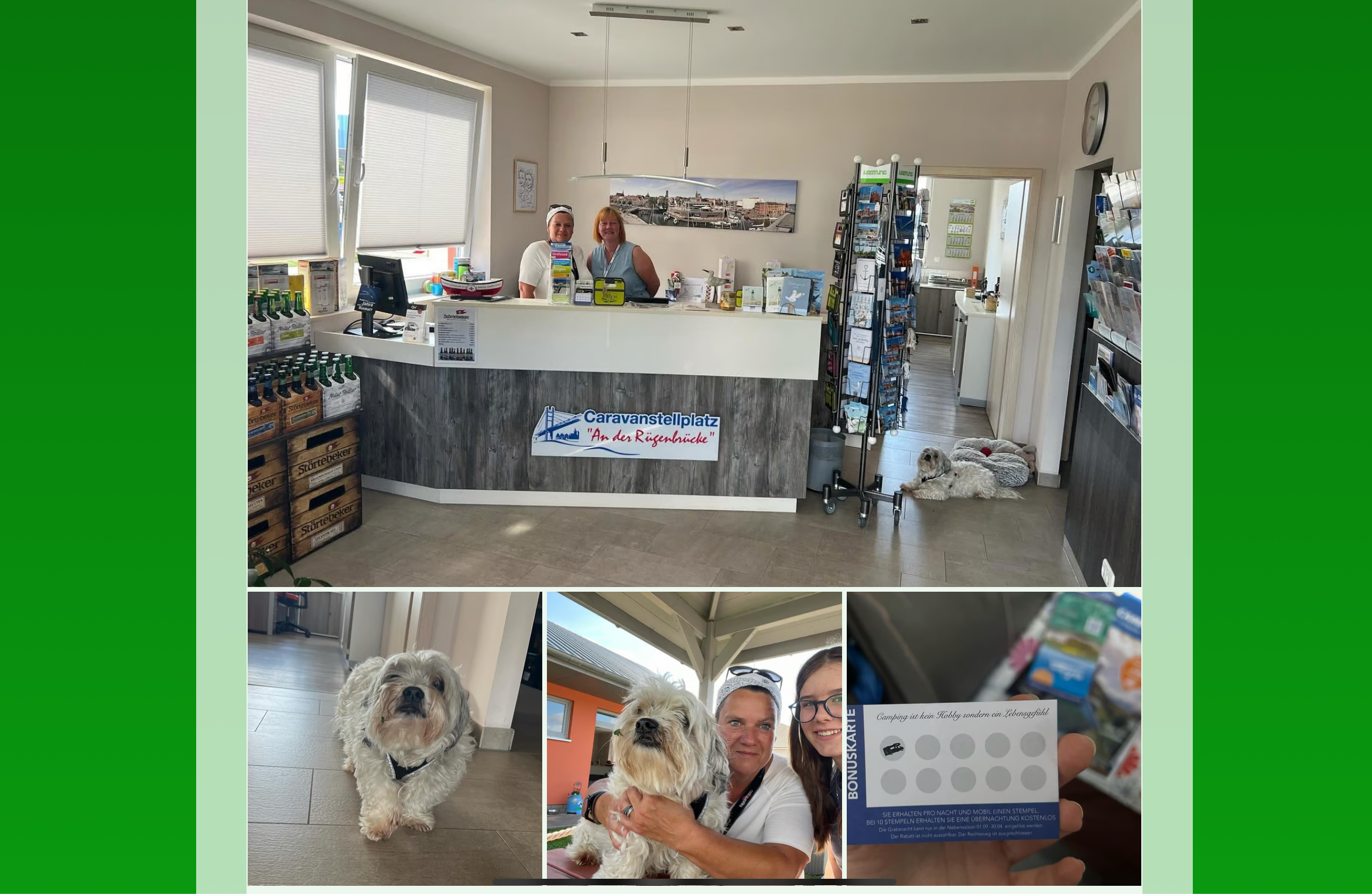 Stellplatz mit Herz – Einzigartige Camping-Erlebnisse in der Stadt und Natur vereint