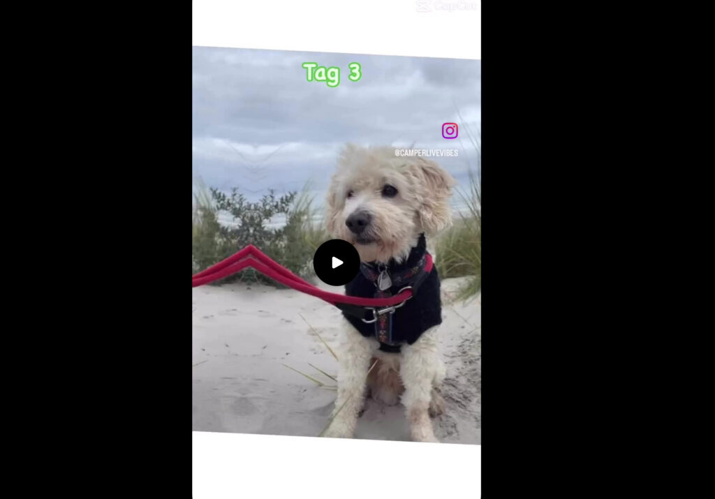 Tag 3 auf Ameland: Strandspaziergang, Stadtbummel und Mondlichtabenteuer