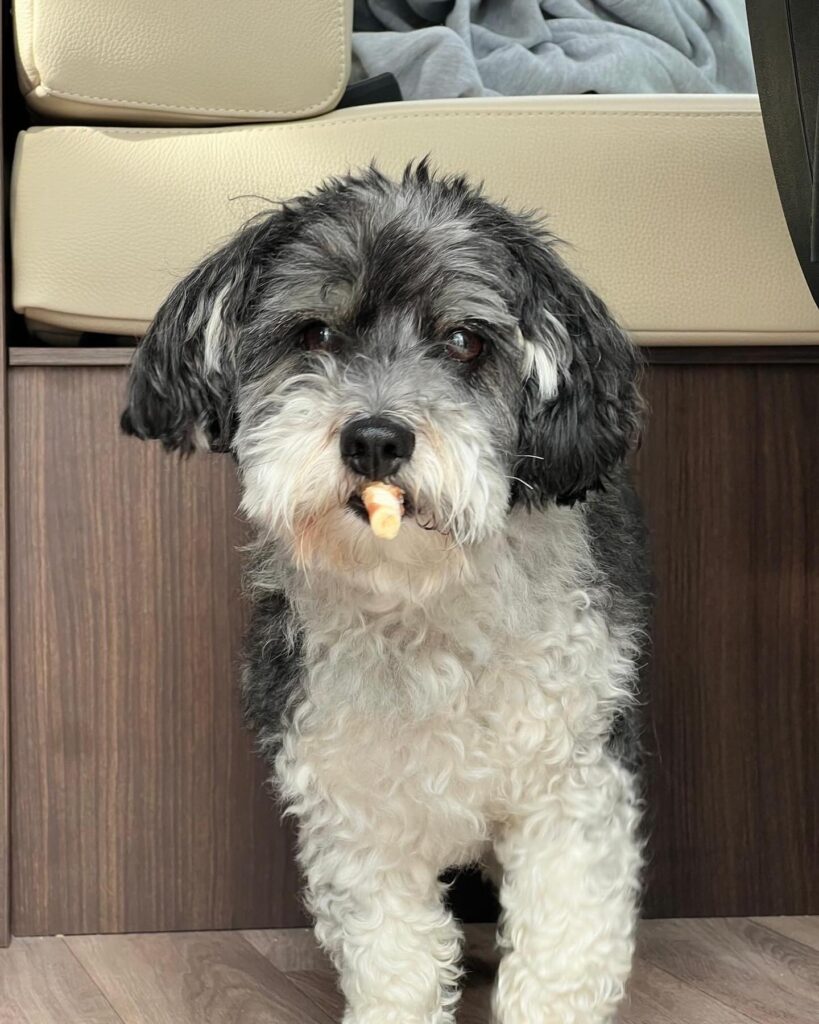 Reisebericht: Mit dem Morelo nach Italien und zurück – Ein Familienabenteuer