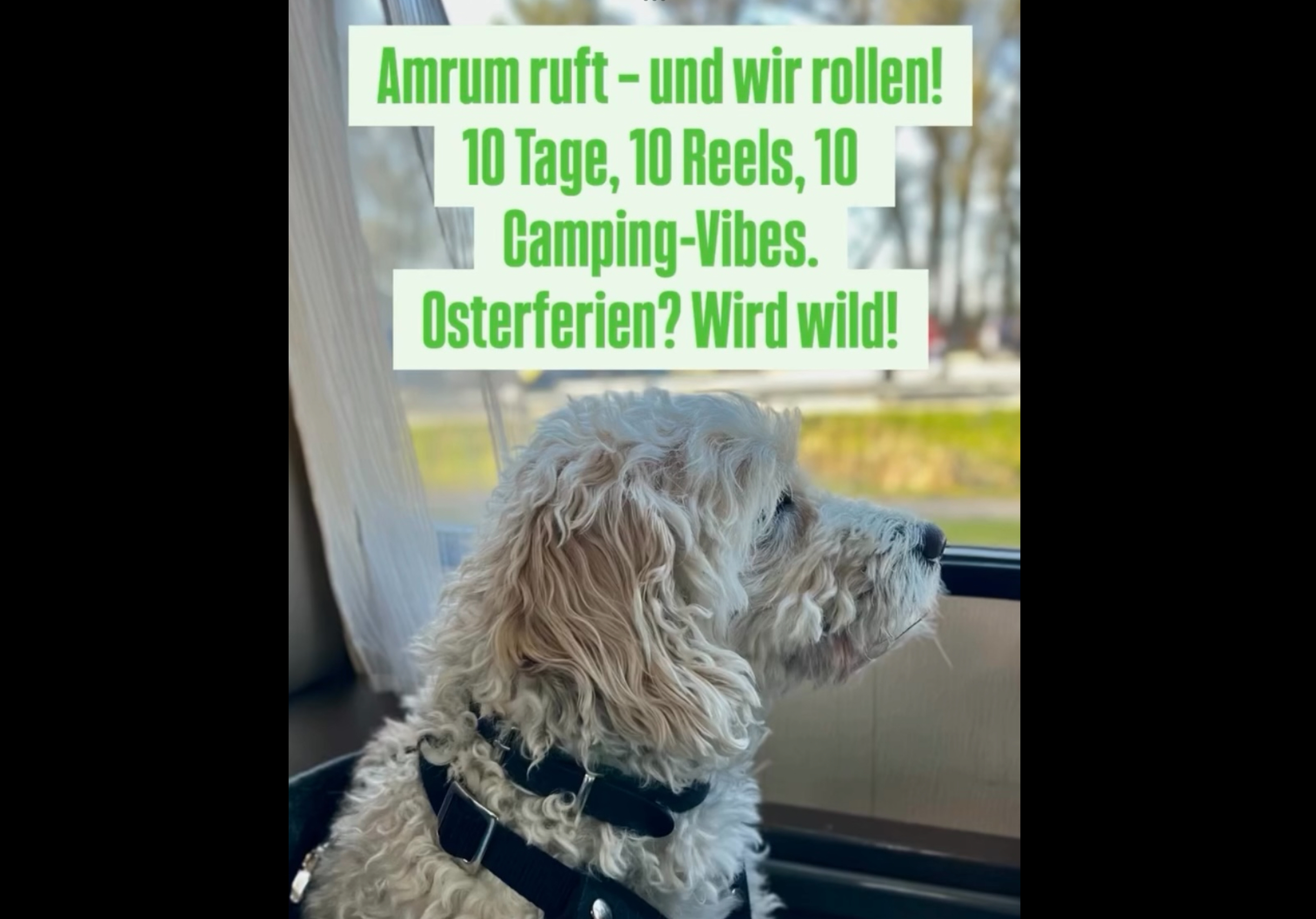 Amrum ruft – und wir rollen!10 Tage, 10 Reels, 10 Camping-Vibes.