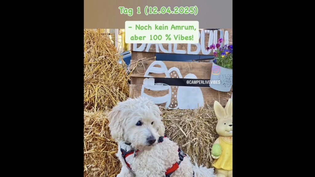 Amrum ruft – und wir rollen los!10 Tage, 10 Reels, 10x Camping-Vibes! Tag 1